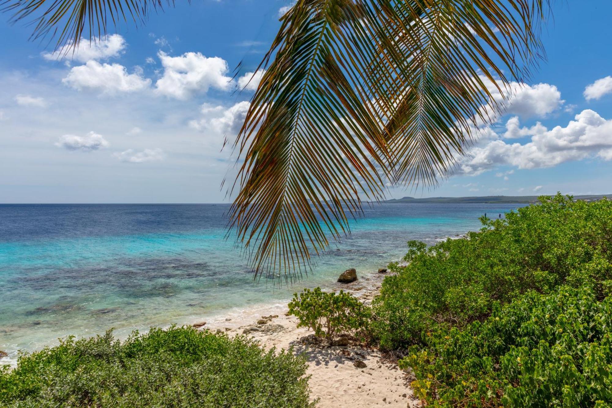 One Ocean Boutique Apartments&Suites Bonaire Kralendijk Extérieur photo