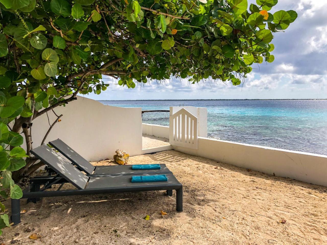 One Ocean Boutique Apartments&Suites Bonaire Kralendijk Extérieur photo
